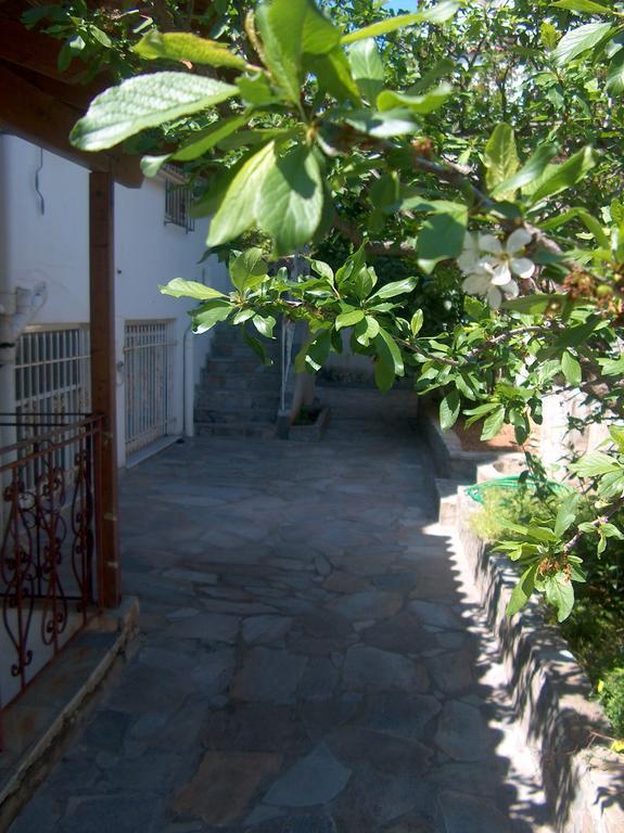 Вілла Athenian Spiti Артеміда Номер фото